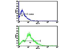 Flow cytometric analysis of HL-60 cells using CD3G polyclonal antibody (bottom histogram) compared to a negative control cell (top histogram). (CD3G anticorps  (N-Term))