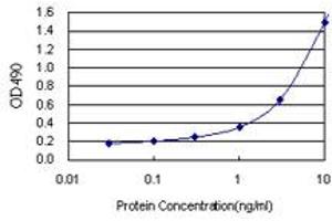 Sandwich ELISA detection sensitivity ranging from 0. (FKBP4 (Humain) Matched Antibody Pair)