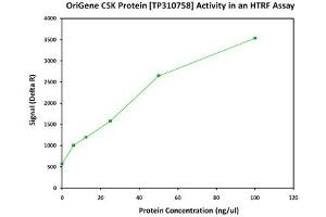 Bioactivity measured with Activity Assay