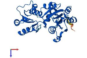 AlphaFold protein structure predicition of Mouse Recombinant Hdhd2 Protein, UniprotID Q3UGR5