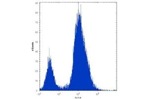 Alkaline Phosphatase antibody flow cytometric analysis of 293 cells (right histogram) compared to a negative control (left histogram).
