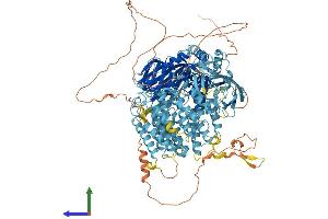 AlphaFold protein structure predicition of Human Recombinant TAF2 Protein, UniprotID Q6P1X5