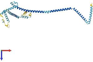 AlphaFold protein structure predicition of Human Recombinant HAUS4 Protein, UniprotID Q9H6D7