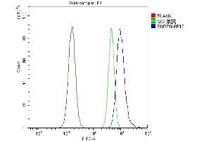 anti-Small Nuclear Ribonucleoprotein Polypeptide N (SNRPN) (AA 11-39), (N-Term) antibody