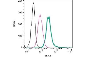 Cell surface detection of TRPV2 by direct flow cytometry in live intact mouse  microglia cells: + Rabbit IgG Isotype Control-APC (ABIN7582043).