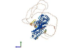 AlphaFold protein structure predicition of Human Recombinant RFX3 Protein, UniprotID P48380