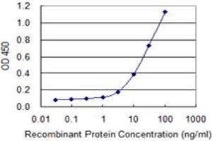 Detection limit for recombinant GST tagged SSX3 is 0.