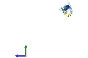 AlphaFold protein structure predicition of Mouse Recombinant Bcap29 Protein, UniprotID Q61334
