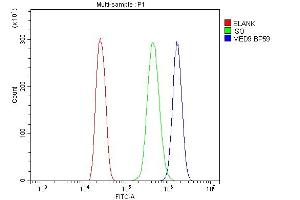 anti-Mediator Complex Subunit 9 (MED9) (AA 55-146) antibody