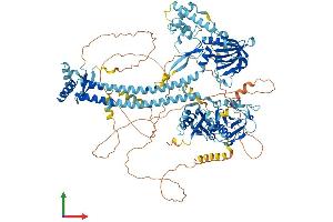 AlphaFold protein structure predicition of Human Recombinant NEMF Protein, UniprotID O60524