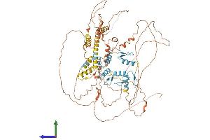 AlphaFold protein structure predicition of Human Recombinant ZBTB20 Protein, UniprotID Q9HC78