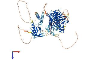 AlphaFold protein structure predicition of Mouse Recombinant Osbpl10 Protein, UniprotID S4R1M9