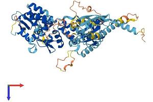 AlphaFold protein structure predicition of Mouse Recombinant Rhobtb3 Protein, UniprotID Q9CTN4