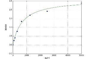 A typical standard curve