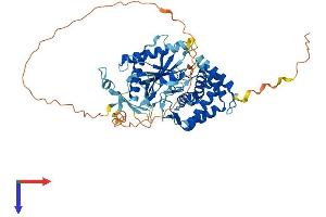 AlphaFold protein structure predicition of Human Recombinant TMEM102 Protein, UniprotID Q8N9M5