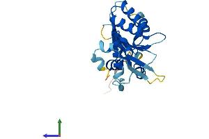 AlphaFold protein structure predicition of Mouse Recombinant Apobec1 Protein, UniprotID P51908