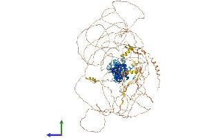 AlphaFold protein structure predicition of Human Recombinant IRS4 Protein, UniprotID O14654