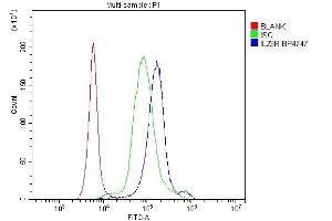 Flow Cytometry analysis of human PBMC cells using anti-IL23 Receptor/IL23R antibody (ABIN7603758). (IL23R anticorps)