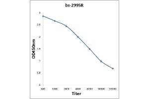 Antigen: 0. (Msk1/2 (AA 49-94) anticorps)