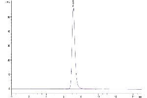 The purity of Human VEGF R3 is greater than 95 % as determined by SEC-HPLC.