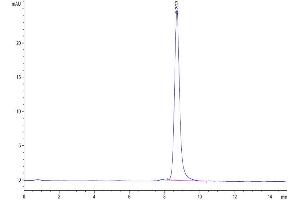 The purity of Cynomolgus PCSK9 is greater than 95 % as determined by SEC-HPLC.