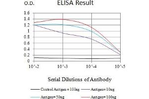Black line: Control Antigen (100 ng),Purple line: Antigen (10 ng), Blue line: Antigen (50 ng), Red line:Antigen (100 ng) (PLA2G7 anticorps  (AA 22-441))