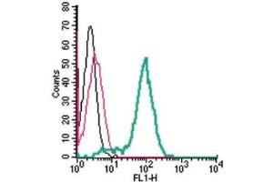 Cell surface detection of TNFR2 by indirect flow cytometry in live intact human THP-1 monocytic leukemia cells: (black line) Cells.