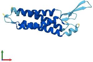 AlphaFold protein structure predicition of Mouse Recombinant Emp3 Protein, UniprotID O35912