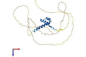 AlphaFold protein structure predicition of Mouse Recombinant Crx Protein, UniprotID O54751