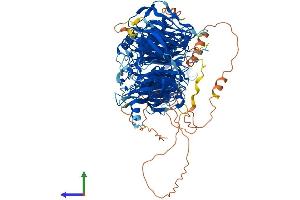 AlphaFold protein structure predicition of Mouse Recombinant Llgl1 Protein, UniprotID Q80Y17