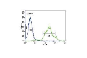 ZDHHC21 Antibody (N-term) (ABIN651365 and ABIN2840203) flow cytometric analysis of 293 cells (right histogram) compared to a negative control cell (left histogram).