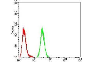 Flow cytometric analysis of A549 cells using NFKBIA mouse mAb (green) and negative control (red).