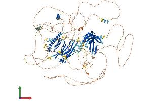 AlphaFold protein structure predicition of Human Recombinant ANLN Protein, UniprotID Q9NQW6