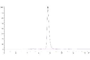 The purity of Biotinylated Human CD40 is greater than 95 % as determined by SEC-HPLC.