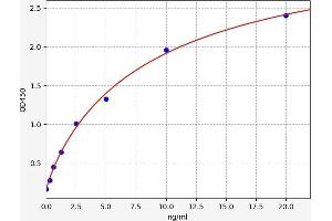 Glutamic-Oxaloacetic Transaminase 1, Soluble (Aspartate Aminotransferase 1) (GOT1) ELISA Kit
