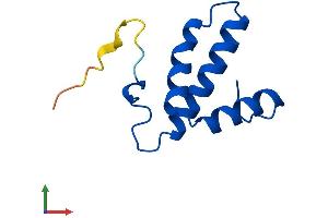 AlphaFold protein structure predicition of Mouse Recombinant Cox6b2 Protein, UniprotID Q80ZN9