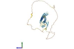AlphaFold protein structure predicition of Human Recombinant BAG1 Protein, UniprotID Q99933