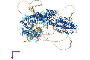 AlphaFold protein structure predicition of Mouse Recombinant Sos2 Protein, UniprotID Q02384