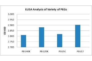 Detection of variety of PEGs using the PEG Antibody [Biotin], mAb, Mouse. (PEG anticorps  (Biotin))