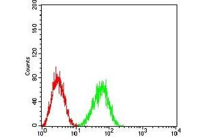 Flow cytometric analysis of HL-60 cells using CD354 mouse mAb (green) and negative control (red).