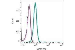 Cell surface detection of STIM1 in human Jurkat T-cell leukemia cells:___ Cells. (STIM1 anticorps  (Extracellular) (Atto 550))