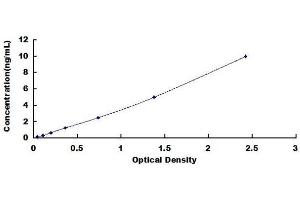 Typical standard curve