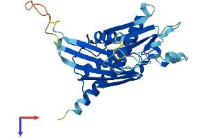 AlphaFold protein structure predicition of Mouse Recombinant Exosc6 Protein, UniprotID Q8BTW3