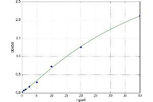 Signal Transducer and Activator of Transcription 5A (STAT5A) ELISA Kit