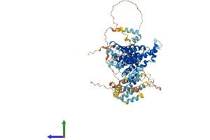 AlphaFold protein structure predicition of Mouse Recombinant Noc2l Protein, UniprotID Q9WV70