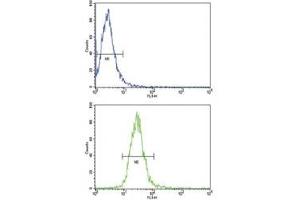 Flow cytometric analysis of NCI-H460 cells using TLR6 antibody (bottom histogram) compared to a negative control (top histogram).