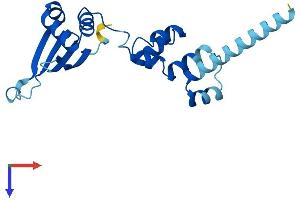 AlphaFold protein structure predicition of Mouse Recombinant Fbxo36 Protein, UniprotID Q9CQ24