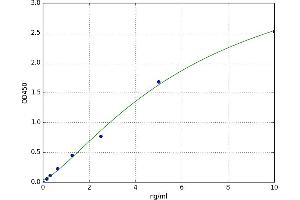 A typical standard curve (NBR1 Kit ELISA)