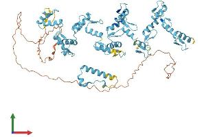 AlphaFold protein structure predicition of Human Recombinant ZNF44 Protein, UniprotID P15621
