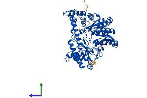 AlphaFold protein structure predicition of Human Recombinant GPT2 Protein, UniprotID Q8TD30